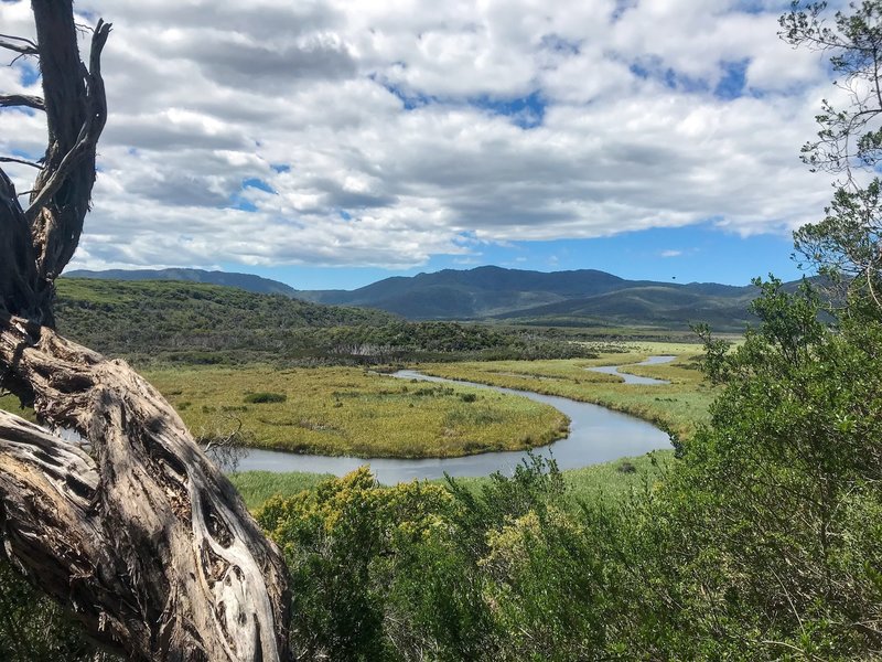 Darby River/Swamplands