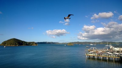 Paihia