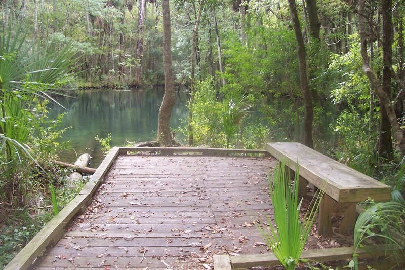 Shepherd Spring (Wakulla County, FL).