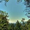 The Pacific Ocean can be seen through a break in the trees along Ridge Trail