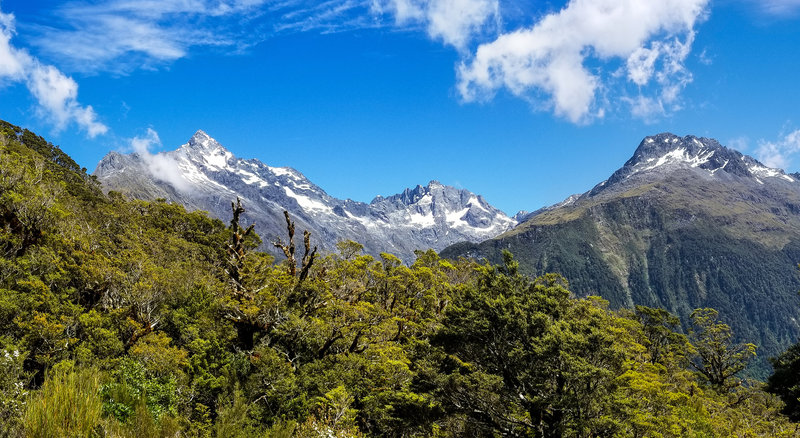 Ascending on the Key Summit Track, you have a magnificent view of the mountains across the Hollyford Valley