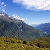 Hollyford Valley