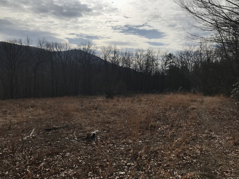 The meadows offer views of the surrounding mountains