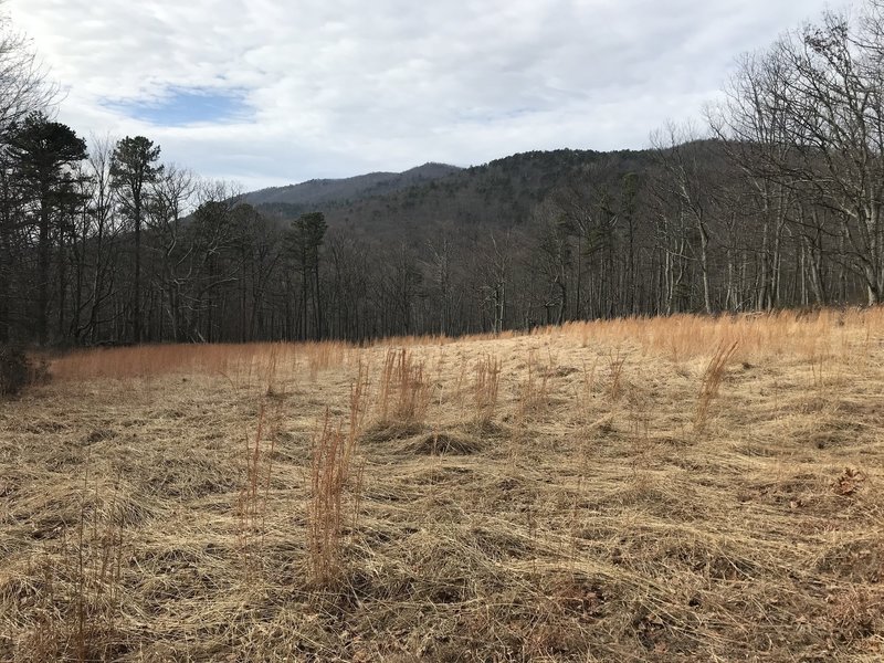 Take in the views from the meadows before climbing up through the woods to the ridge