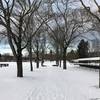 Pathway through polo fields, covered in snow.