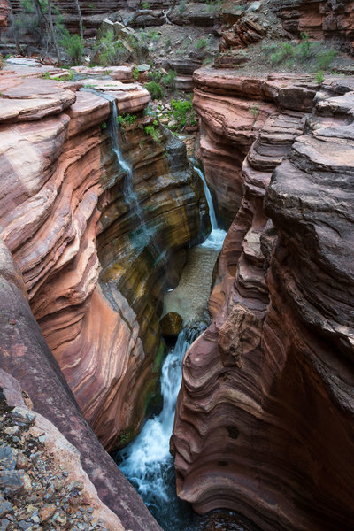 The Canyon shares it magic