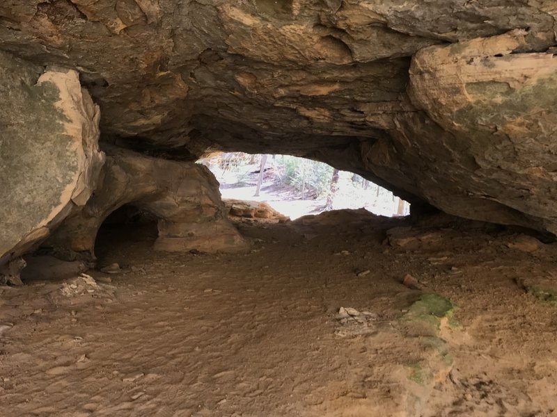 Killdeer Arch