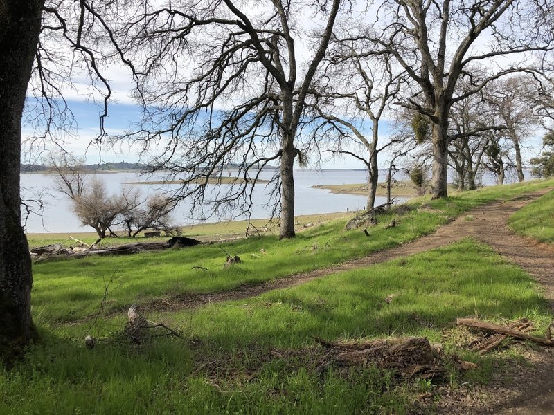 The trail is within the hills and trees beside the lake!