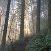 When I started up the trail, it was foggy, but as I got higher up the sun was starting to break through the fog, and as I approached the top, I was above the fog.