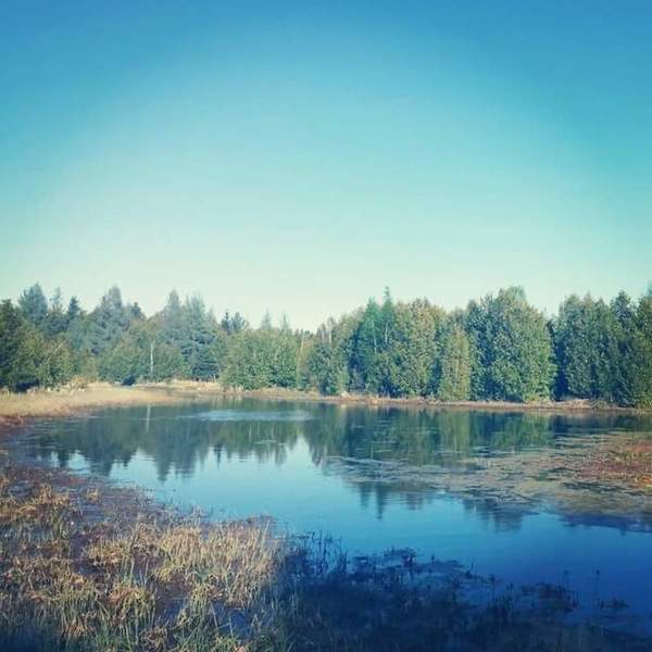 The view from Three Springs Creeks park benches