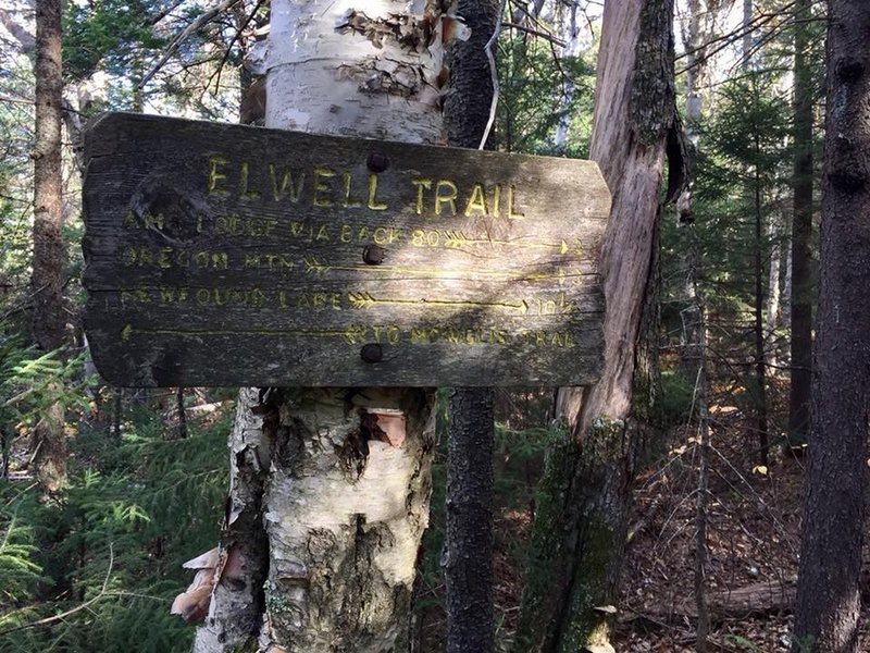 Elwell Trail sign a short distance from Mowglis/Elwell junction.