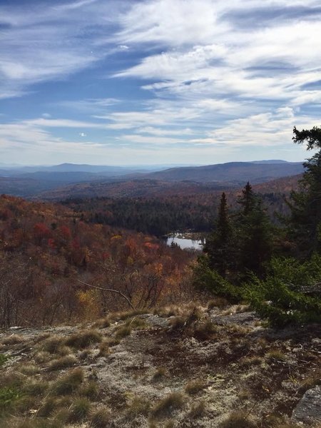 Looking southeast over a beaver meadow in the headwaters of Davis Brook