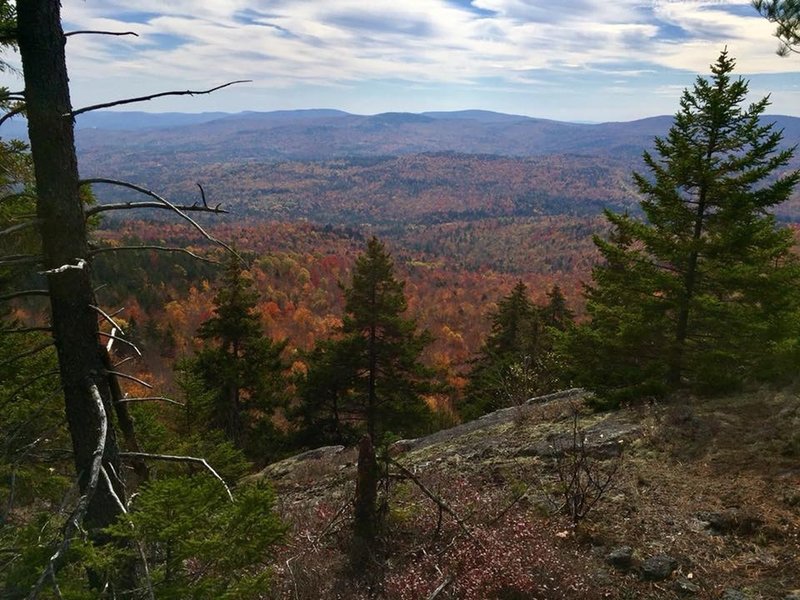 Looking south from one of the last outlooks before heading into the hardwood forests and blighted logging areas before reaching Bear Mtn.