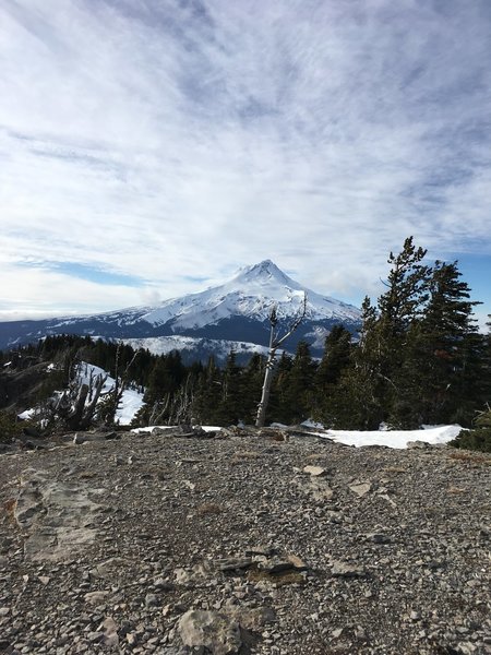 View of Mt. Hood from the top of Lookout Mountain. Plenty of panoramic views from the top. Well worth the trip up.