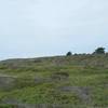 Ross' Cove Trail cuts through a windswept landscape of low shrubs and few trees.