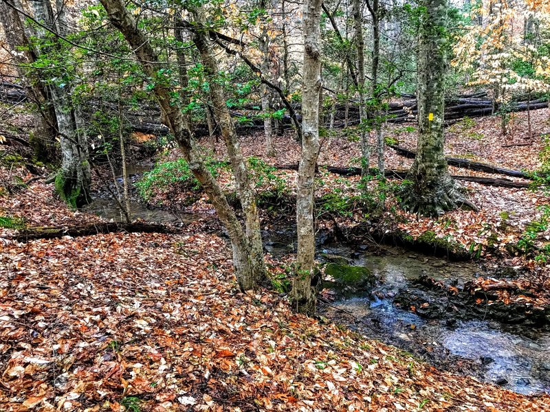 Creek crossing on the Camp Four Trail