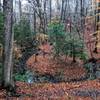 Bend in the creek with a campsite