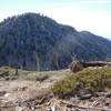 Middle Hawkins Peak