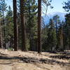 Hawkins Ridge Trail with Mt. Baldy