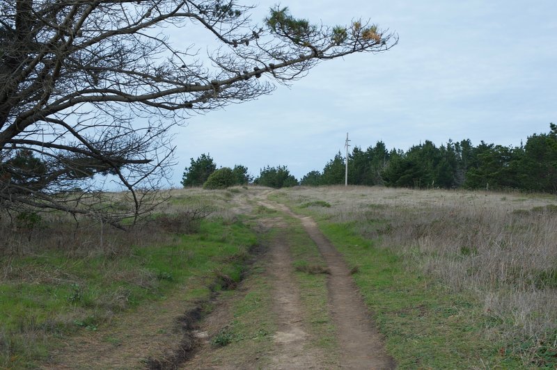 The Jean Lauer Trail traverses the top off the bluff.  The trail is slightly eroded, but great for hiking, biking, and horse back riding.