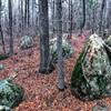 Half a billion year old Greenstone boulders