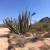 Humanitarian Aid Water Station amoung the cactus.