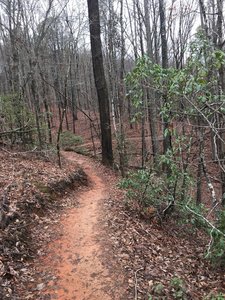 A photo of the trail