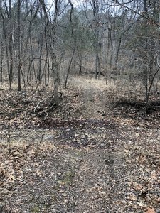 One of several harmless creek crossings on the trail.