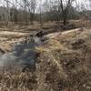 LaBarque Creek would be tempting in the hot, humid St. Louis summers