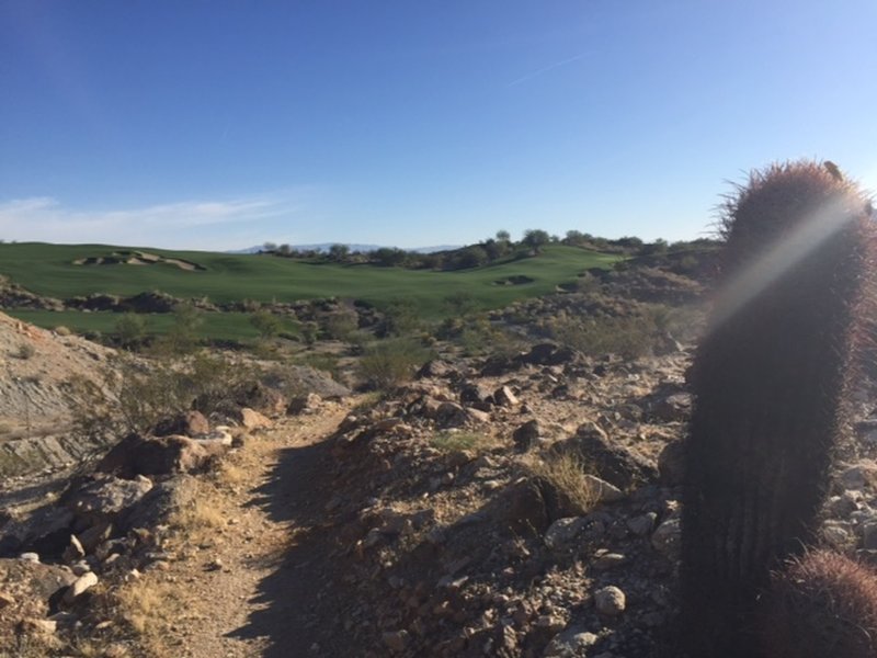 Looking north over Stone Eagle Golf Club.