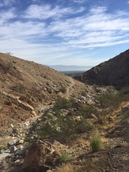 Looking east over Palm Desert with a view of some of the northern section of the trail.