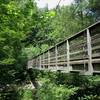 Suspension Bridge over North River