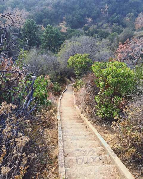 Murphy Stairs (not pictured, more stairs)