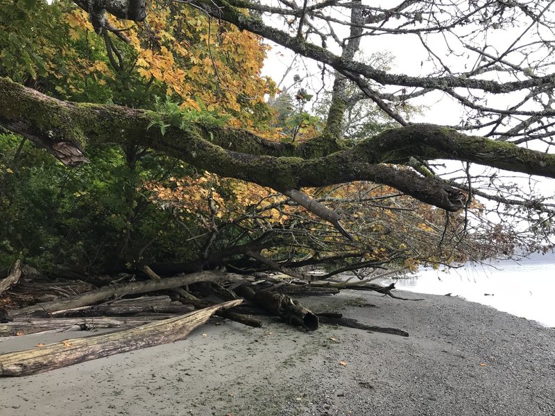 The beach might be difficult to walk along, during high tide.