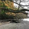 The beach might be difficult to walk along, during high tide.