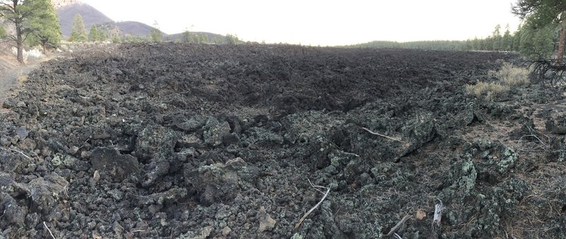 Lava field is pretty expansive!