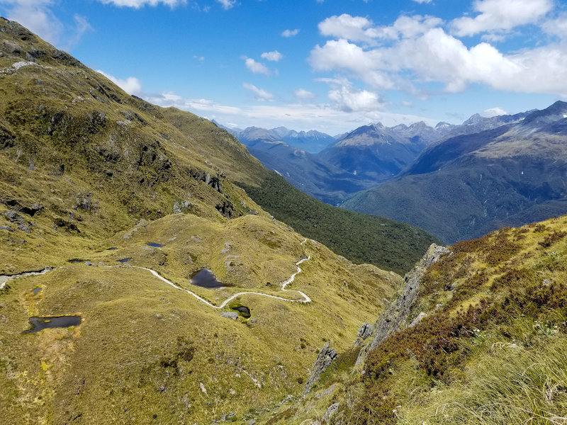 Harris Saddle from Conical Hill Track