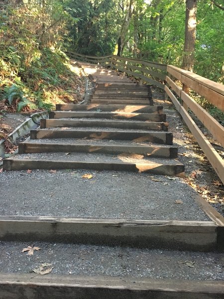 The steepest part of the hike has stairs.