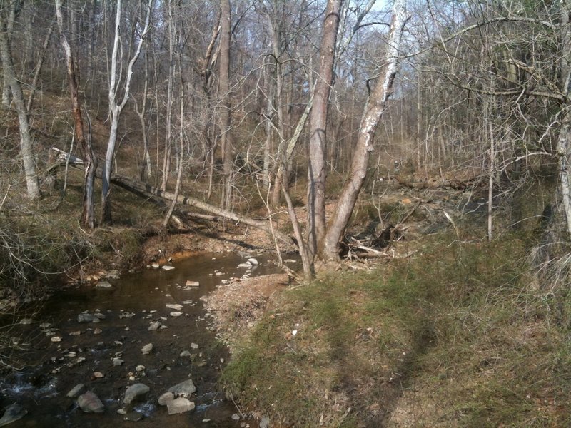 Brandywine Creek