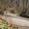 This is the wide, gravel bike path near the intersection of the Brandywine Trail, Rocky Run, and the Rocky Run picnic tables.