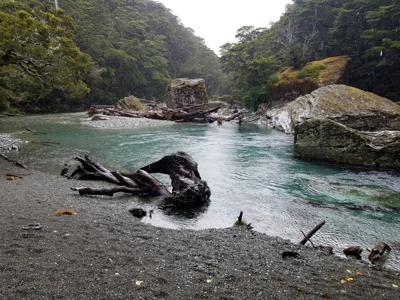 Dart River