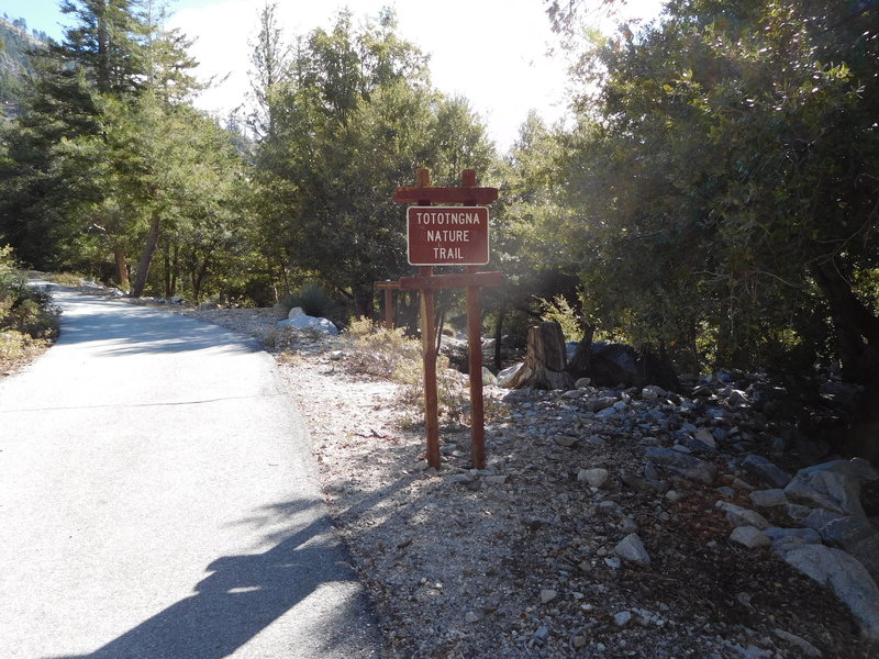 Start of trail on closed campground loop.