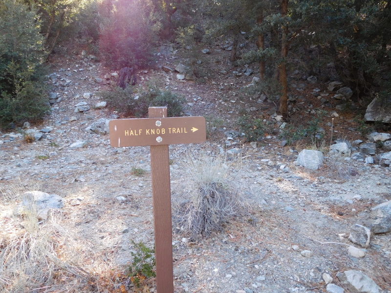 Start of trail near cafe