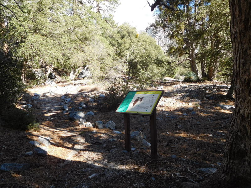 Interpretive signs on Golden Cup Nature Trail