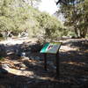 Interpretive signs on Golden Cup Nature Trail