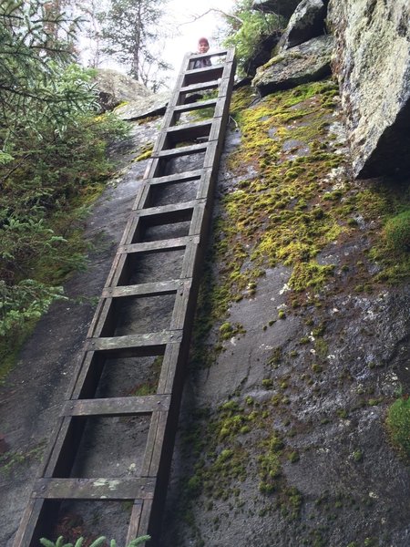 Ladders on steep ledges - Six Husbands Trail