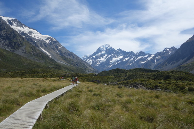 Wooden plank section of the Hooker Valley Track