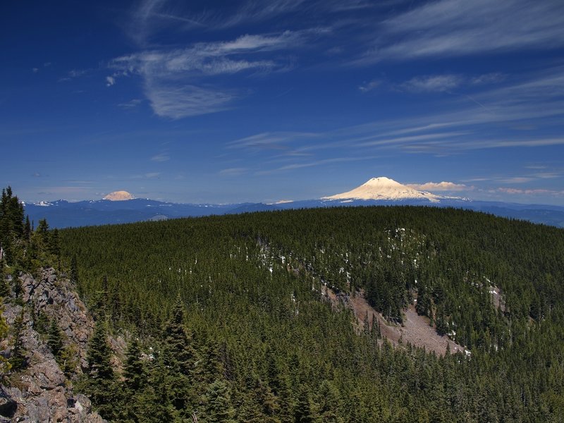 Mount Rainier (L) and Mount Adams from Green Point Mountain