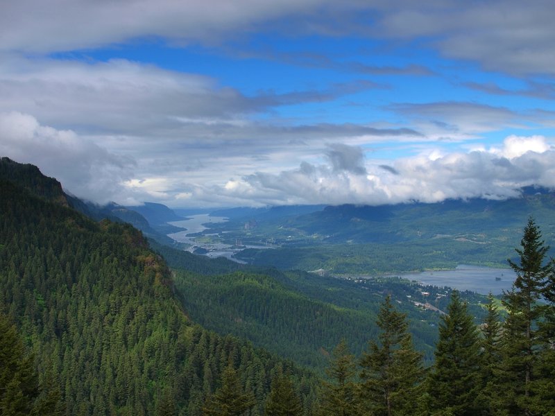 The Columbia River from the Nick Eaton Trail