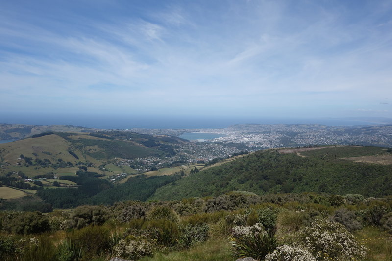 Dunedin viewed from the top of Mount Cargill